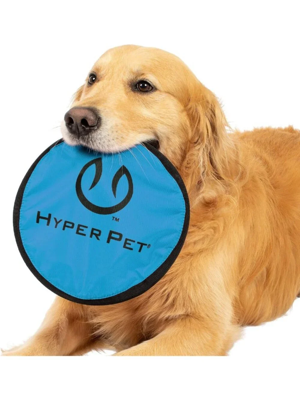 Soft Flying Disc Dog Toy - 9 Inch, Floats on Water, 2 Pack, Perfect for Fetch